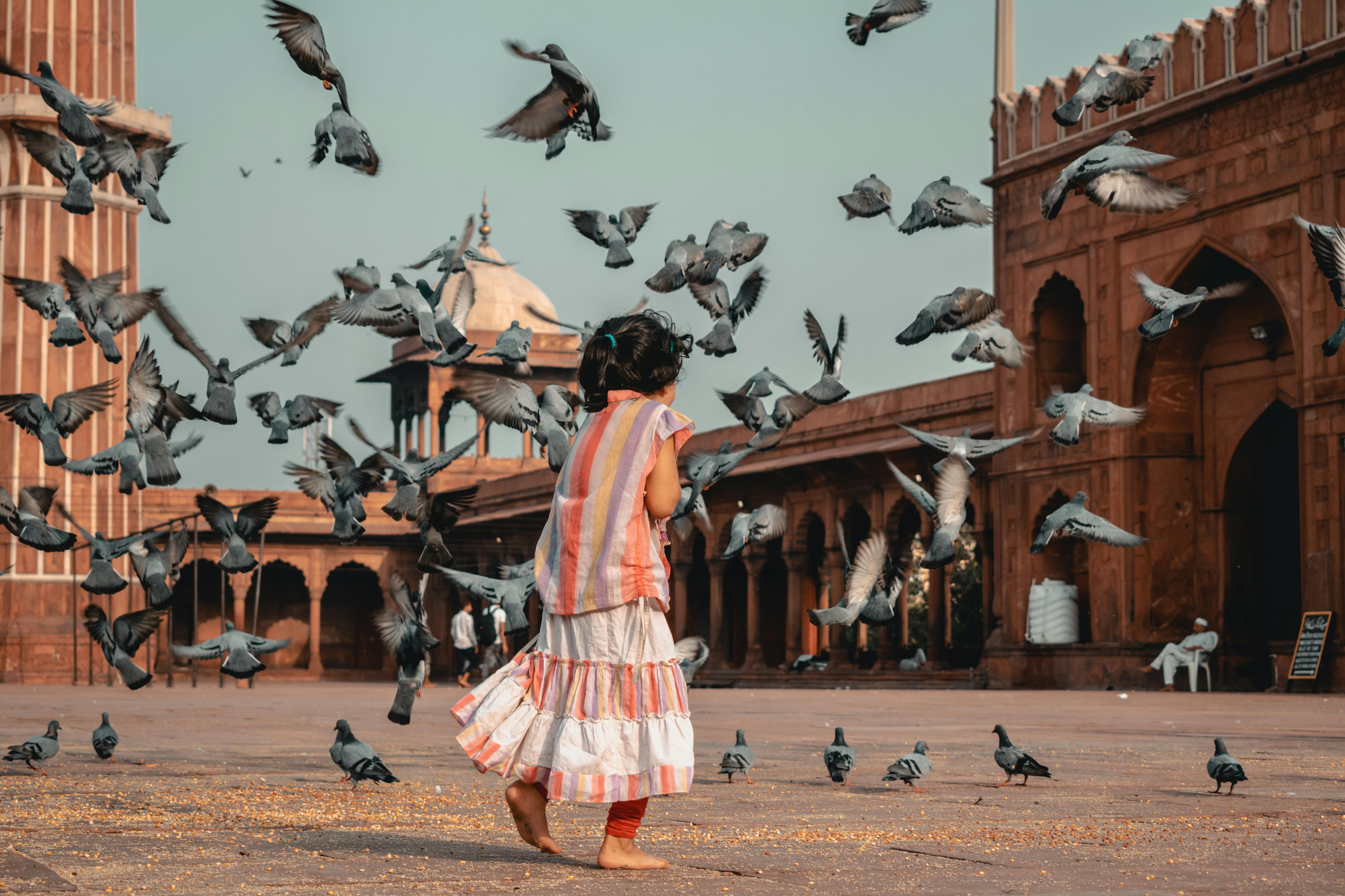 Heritage Walks in India: Top Cities to Explore on Foot