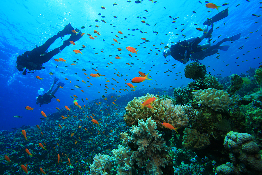 Scuba Diving at Havelock