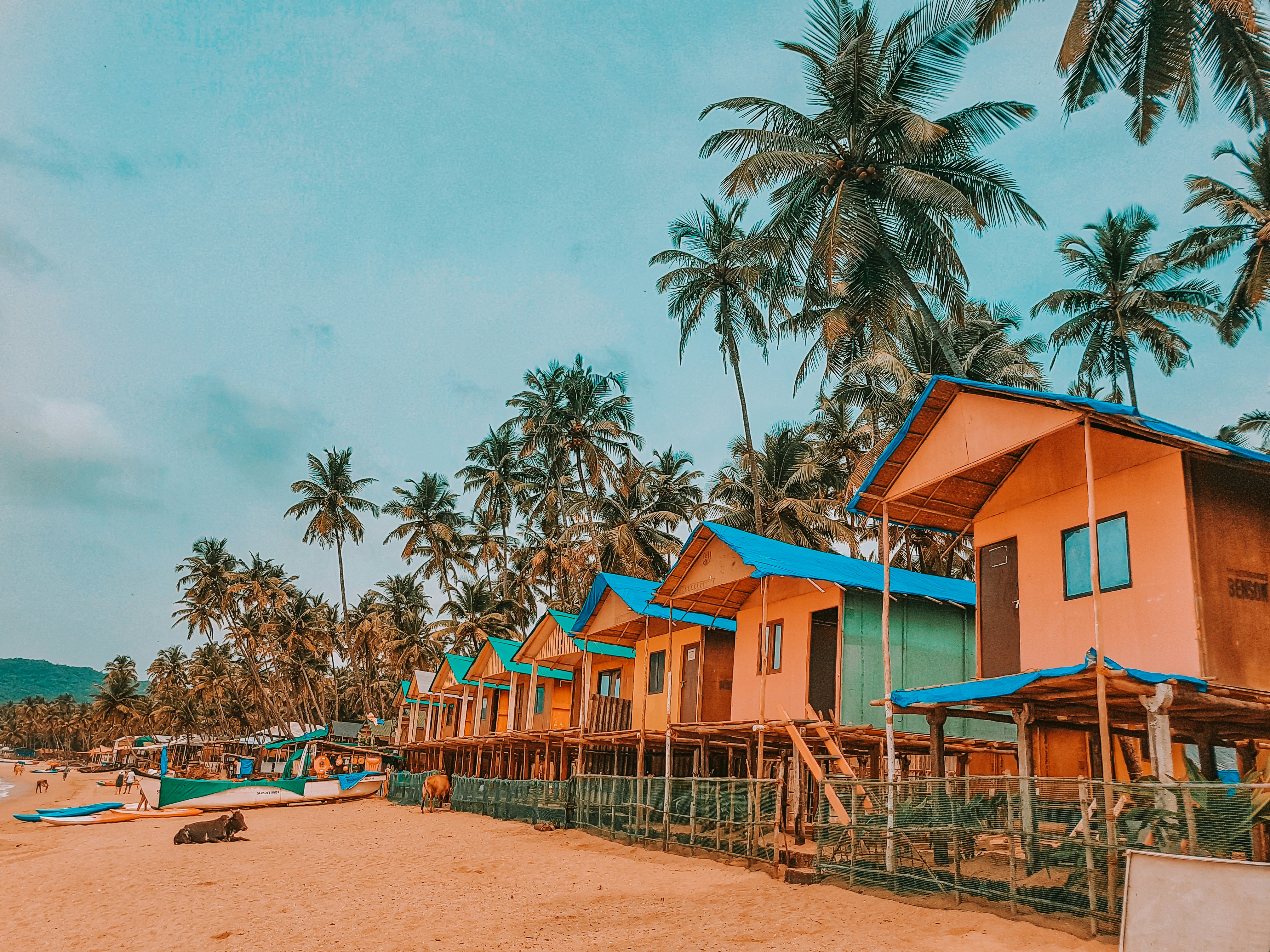 Goa Beach Vibes