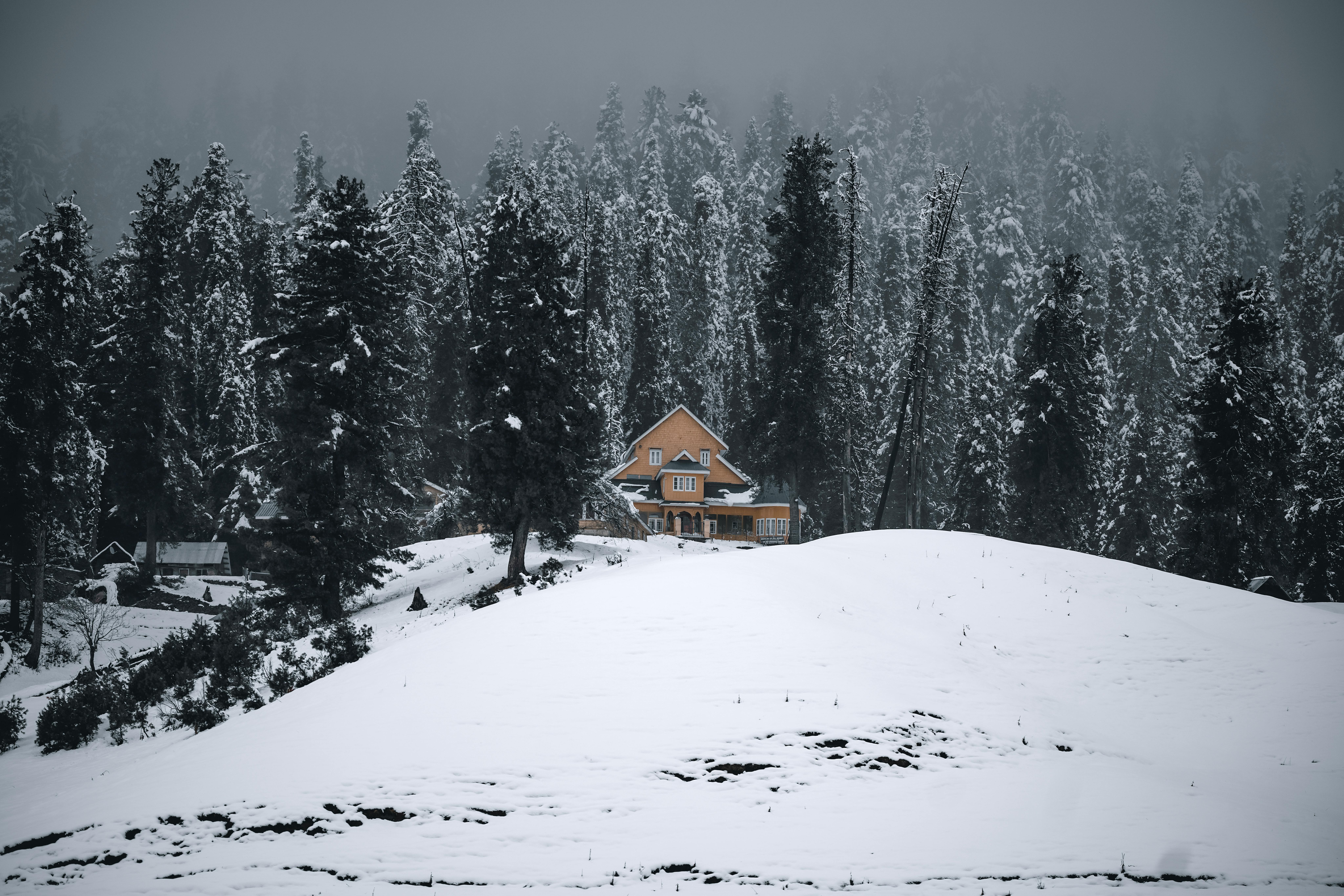 The Kashmir Valley gallery 2