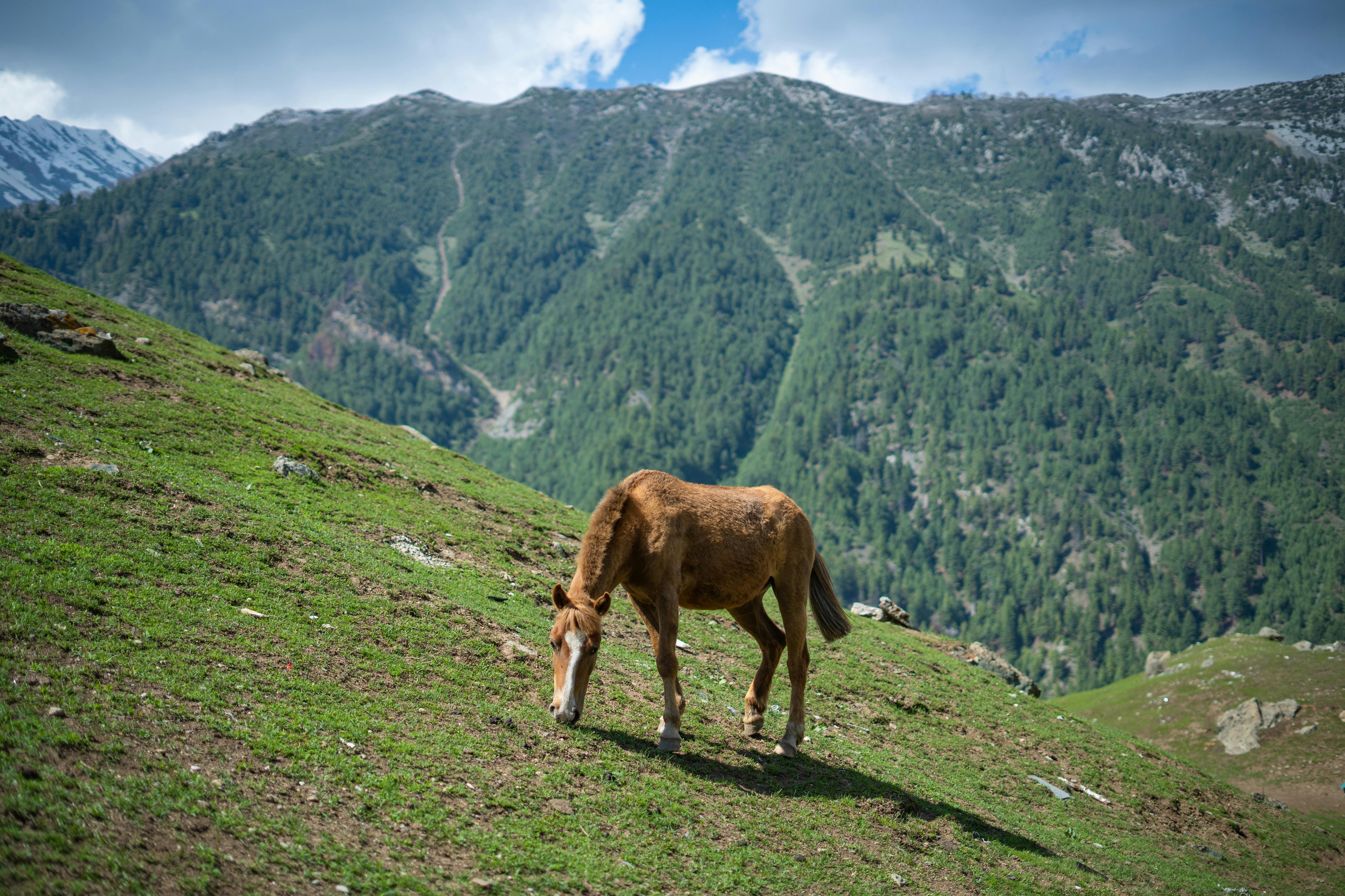 The Kashmir Valley gallery 3