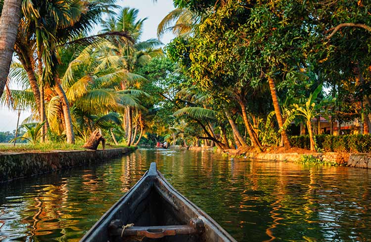 Kerala gallery 1