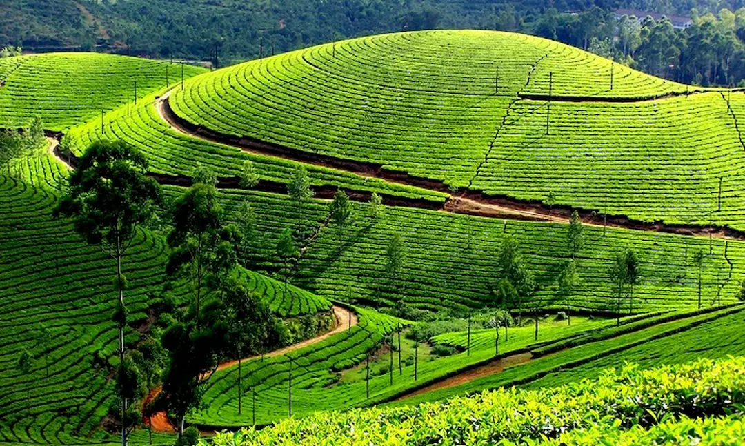 Kerala gallery 3