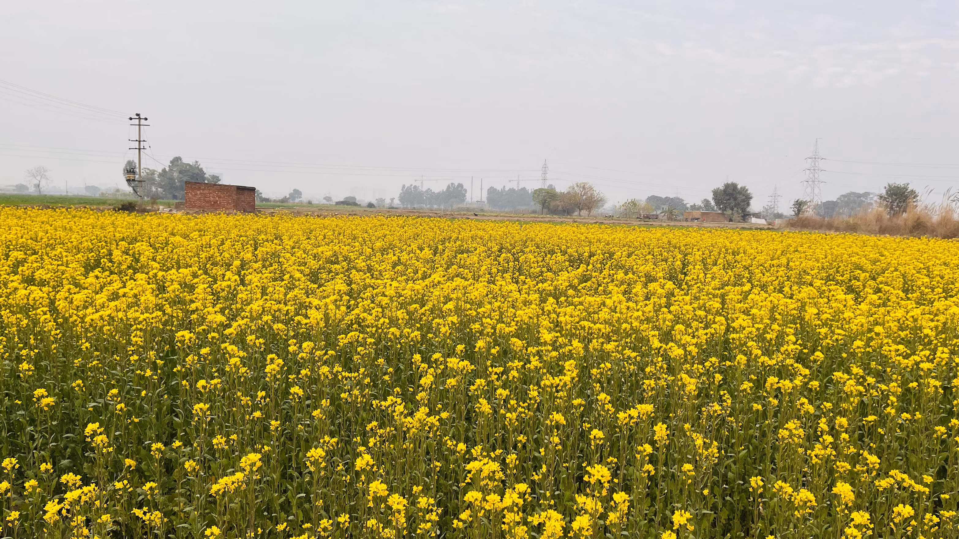 Punjab Village Tour