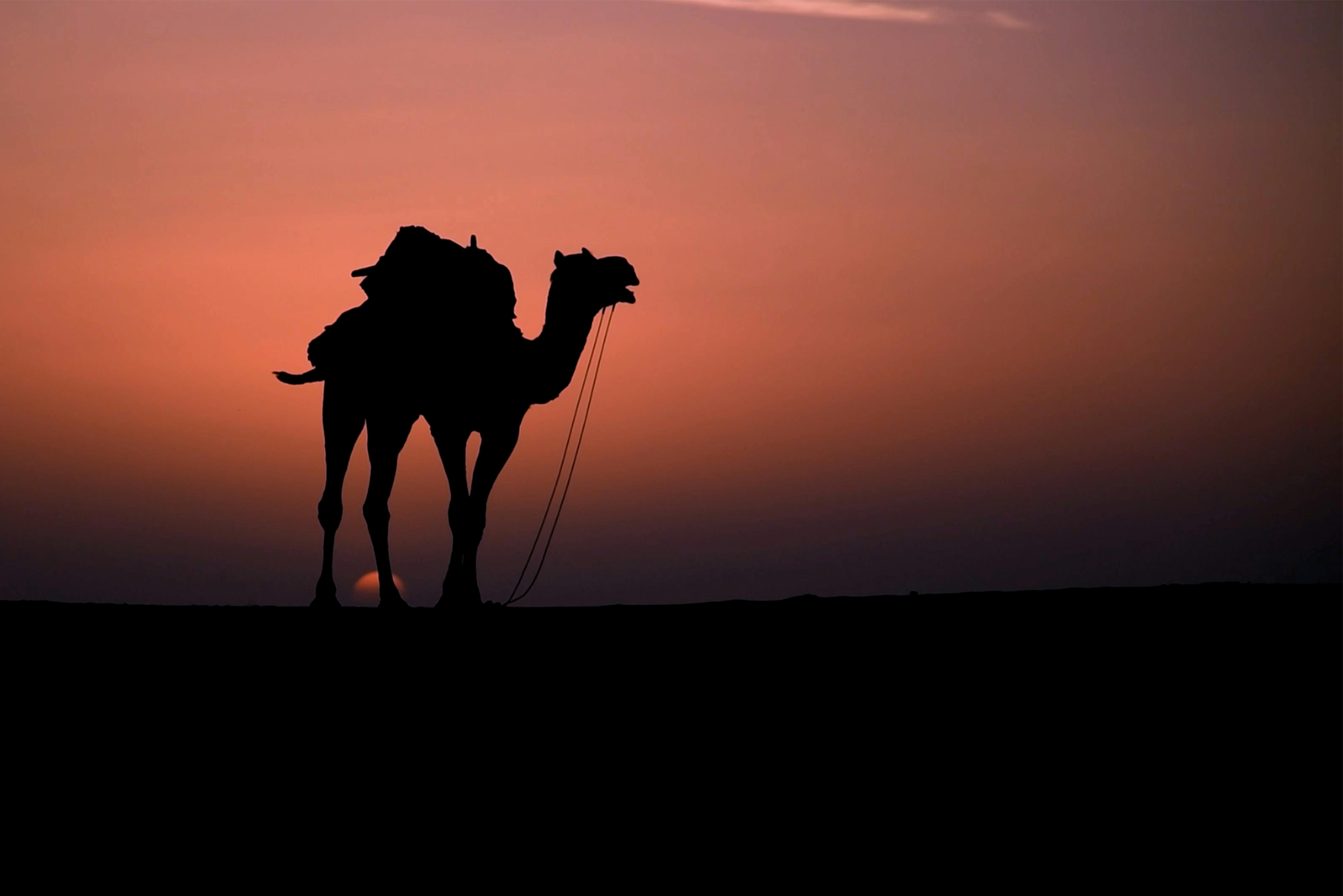 Rajasthan gallery 3