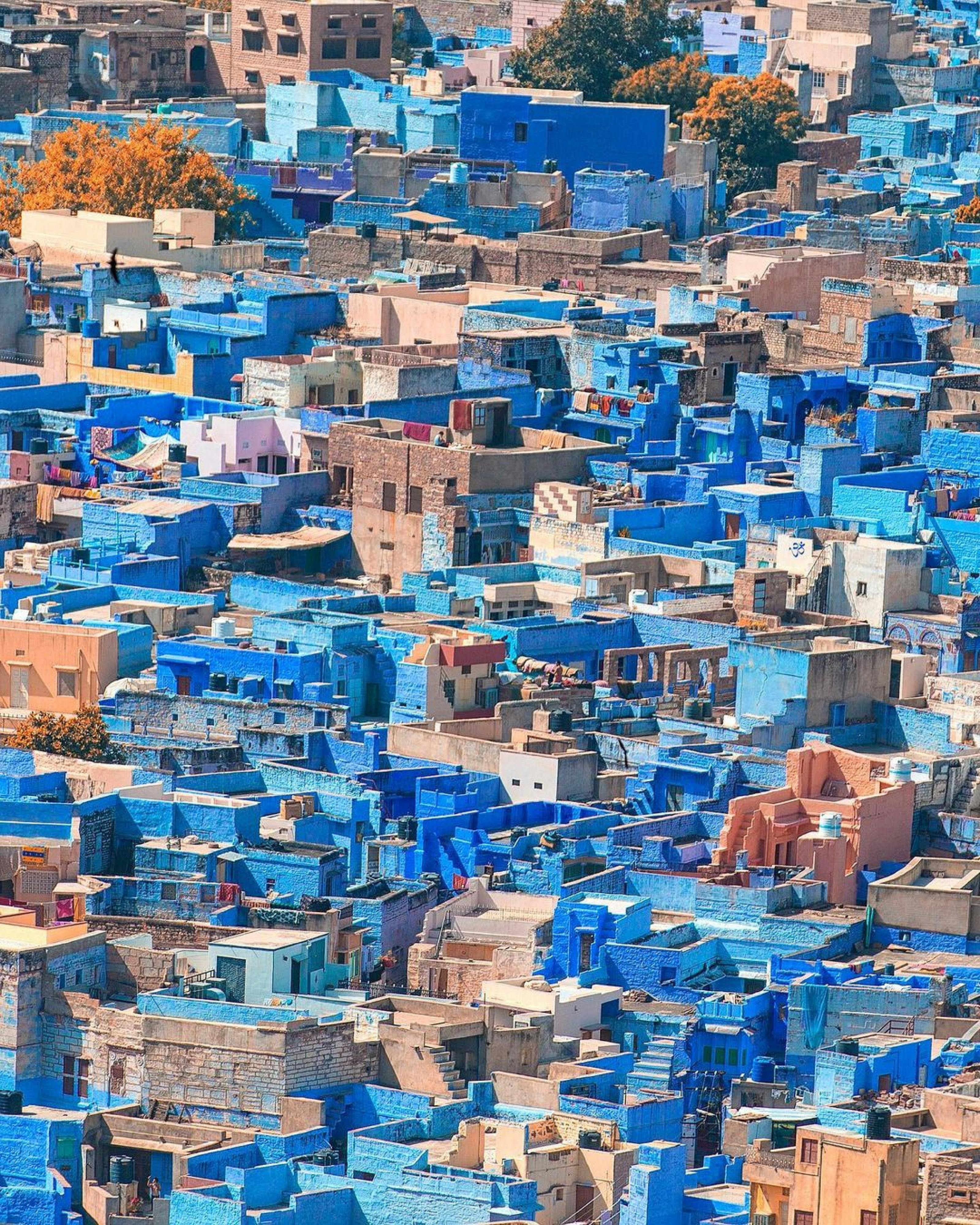Desert Forts & Blue Streets