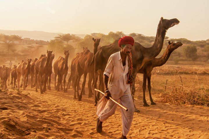 Desert Jewels of Rajasthan gallery 1