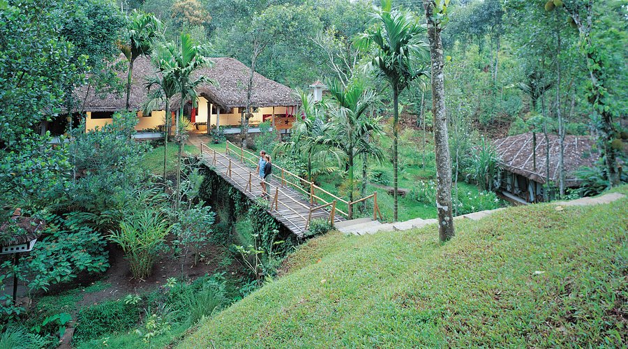 Essence of Kerala gallery 3