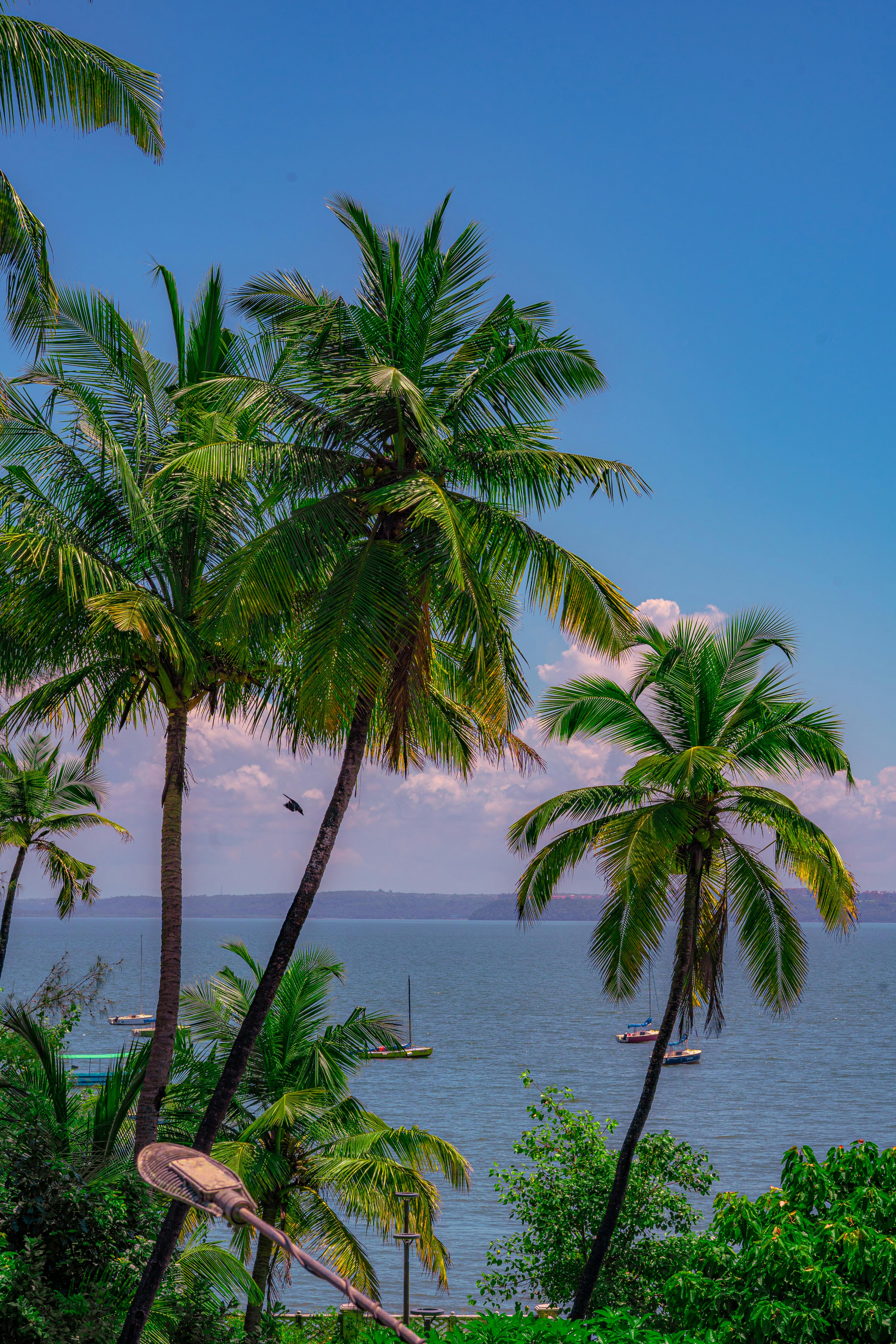 Goa Beach & Heritage Escape