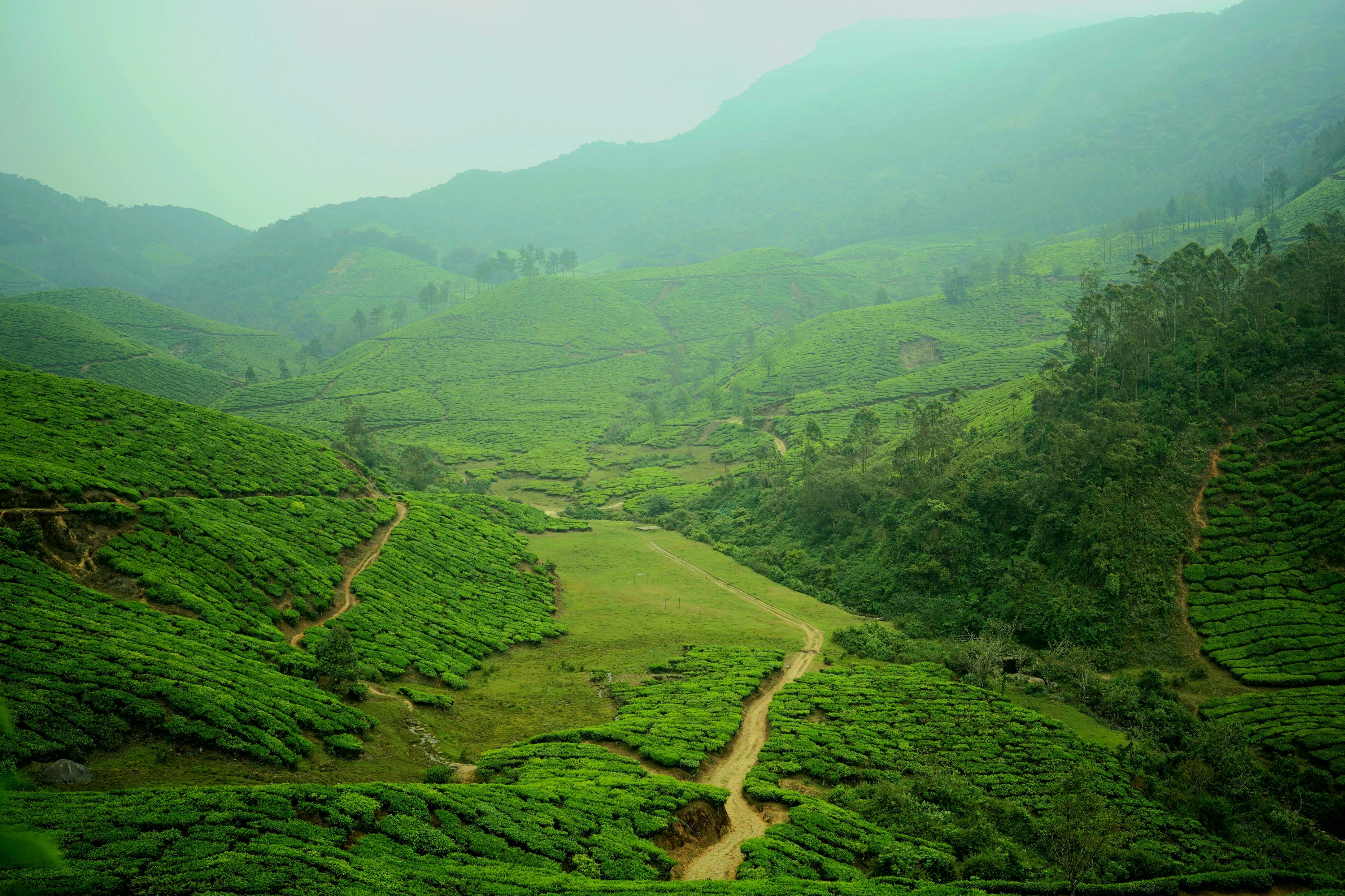 God’s Own Country – Kerala Tour gallery 1