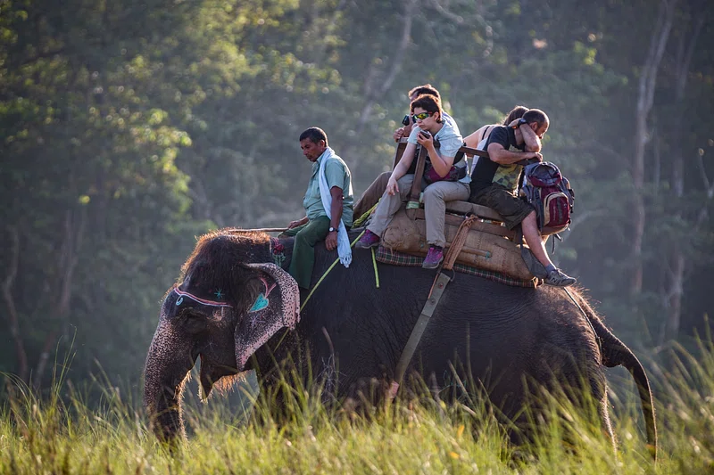 God’s Own Country – Kerala Tour gallery 2