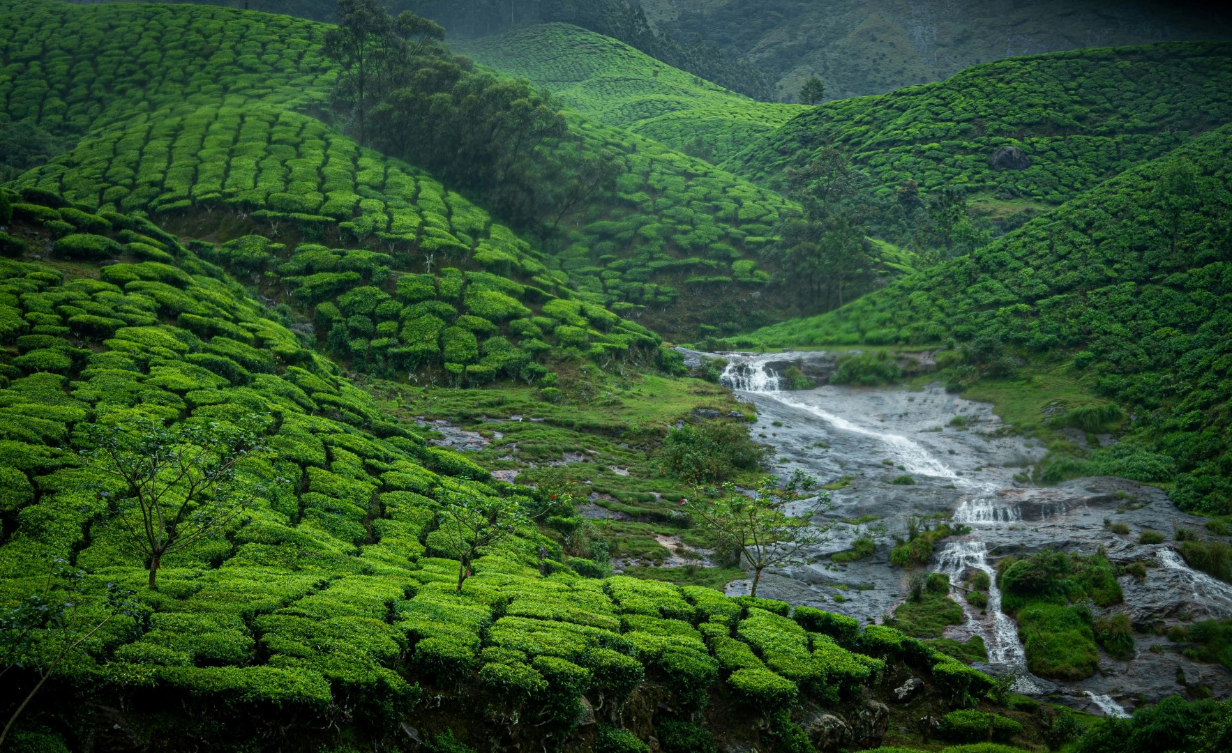 Grand Kerala & Kanyakumari Tour gallery 1
