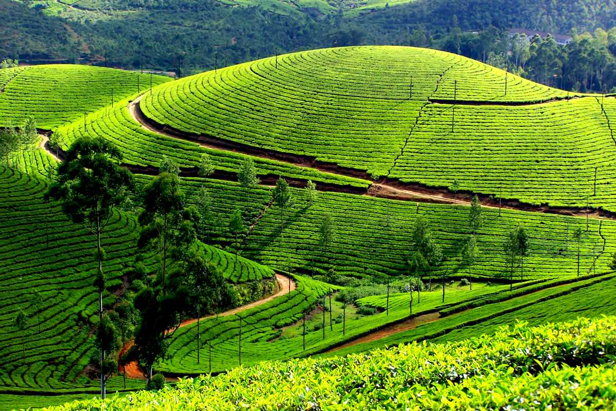 Hills to Backwaters Escape gallery 2