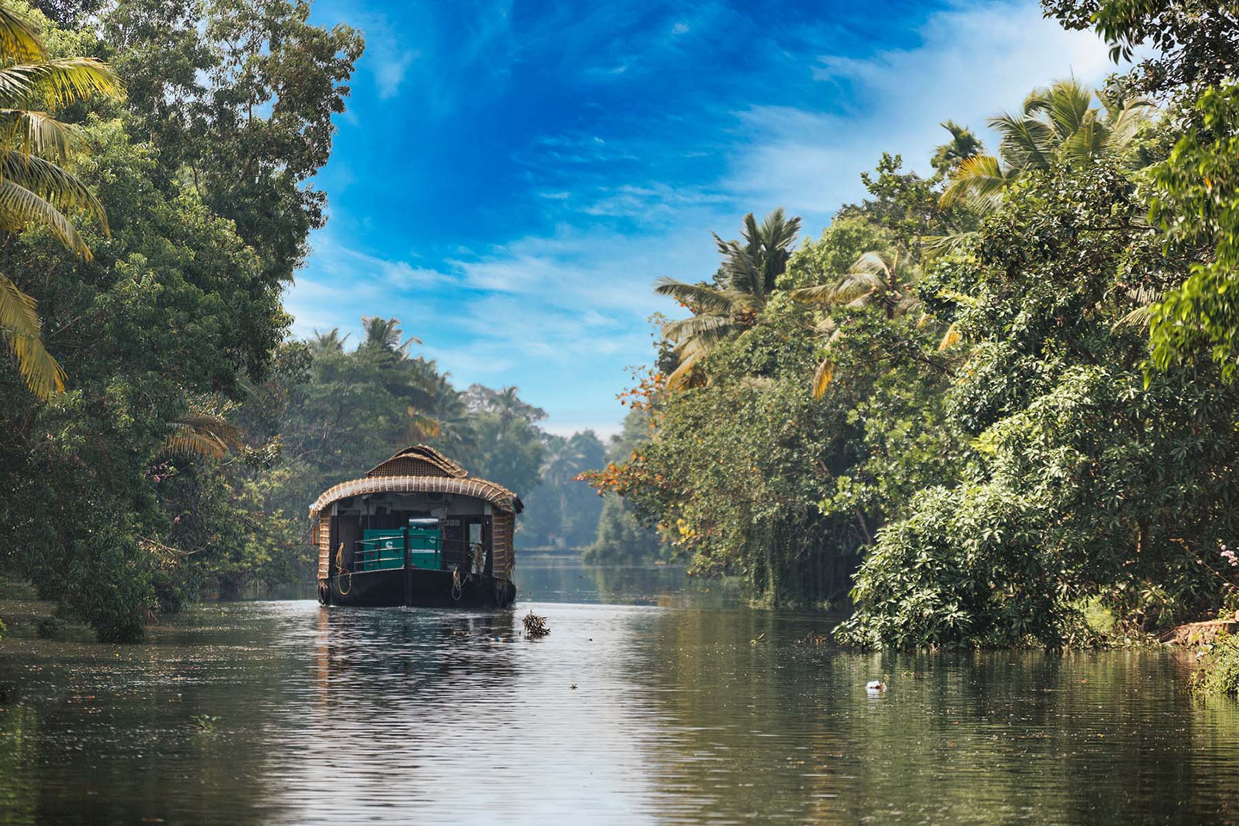 Kerala Hills, Wildlife & Backwaters