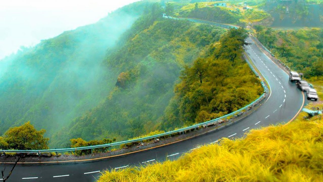 Kerala Hills, Wildlife & Backwaters gallery 1
