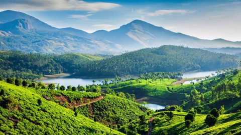 Munnar Getaway