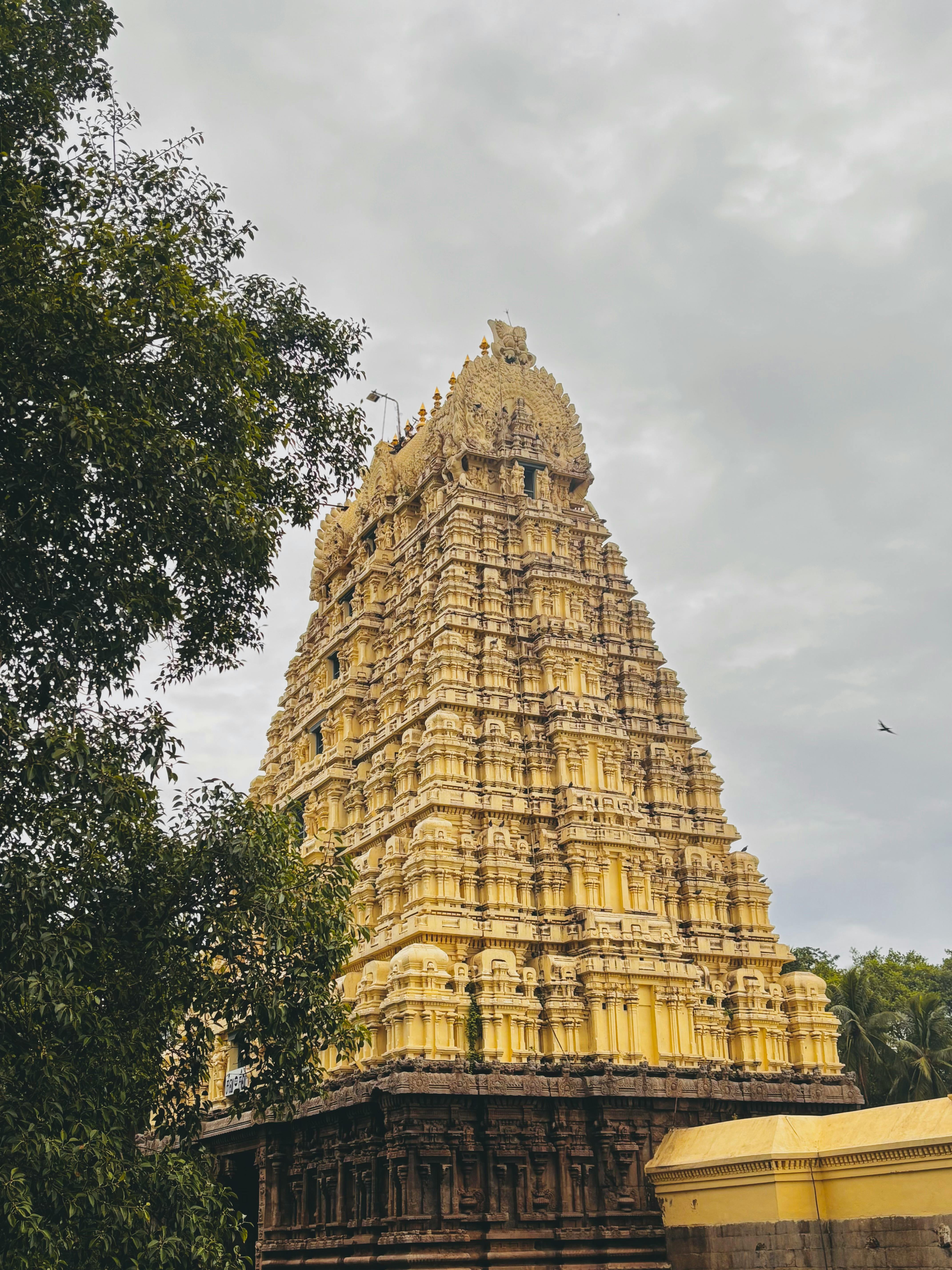 Tirupati & Tamil Nadu Temple Trail
